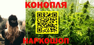 индика Ирбит
