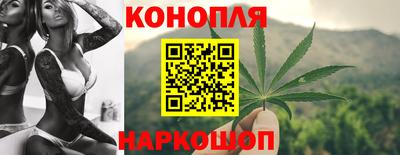 индика Ирбит