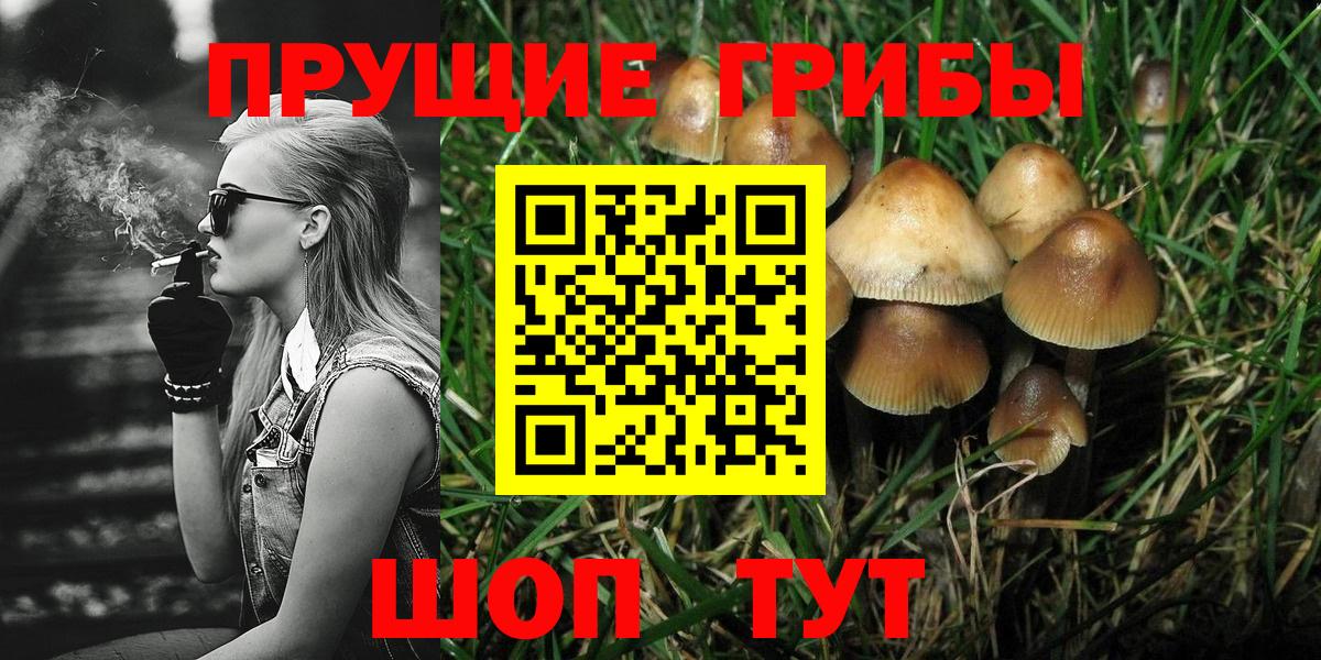 наркотики  Галлюциногенные грибы прущие грибы  Крымск  Вход с VPN  Псилоцибиновые грибы GOLDEN TEACHER 