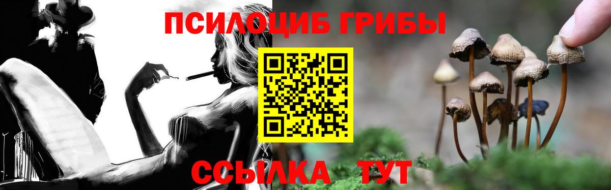 Псилоцибиновые грибы GOLDEN TEACHER Крымск